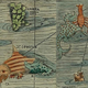Illustration for article titled Centuries-Old Drawings of Europes Greatest Sea Monsters